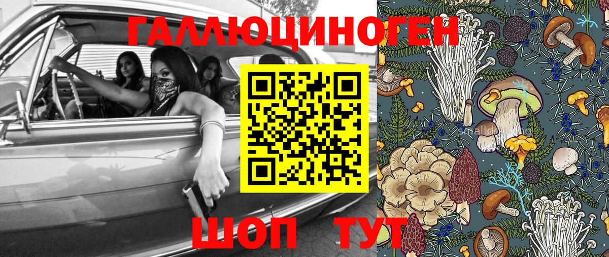Псилоцибиновые грибы Cubensis Кызыл